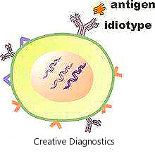 idiotype