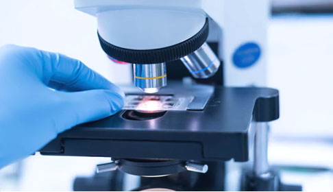 IHC/Pathology Antibodies