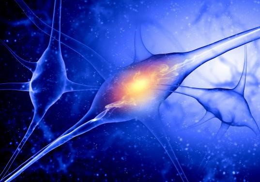Neuroscience