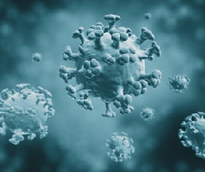 Viral Antigen
